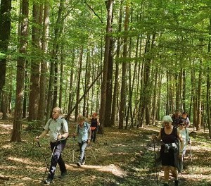 Foto: Pfarre Graz-Mariahilf