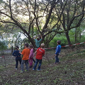 Foto: Kathrin Wallner