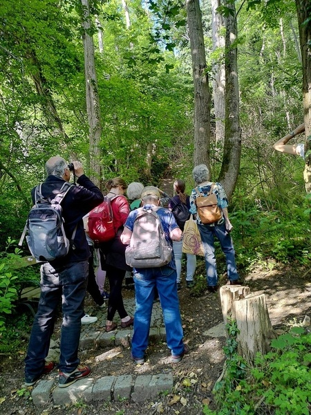 Bildrechte: Elfriede Maria Reininger